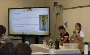 The Clover Report June 2025