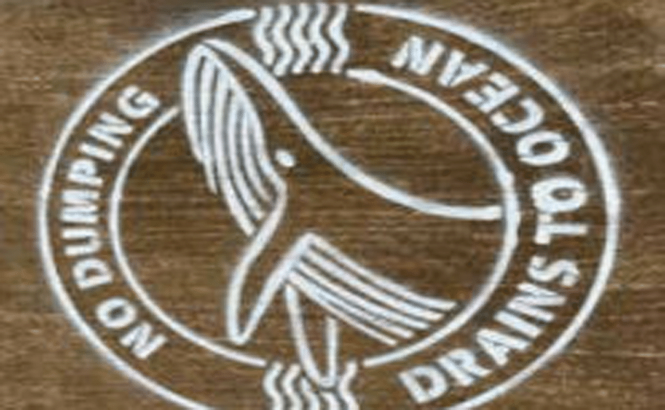 Sakura 4-H Clubs’ Clover Report December 25