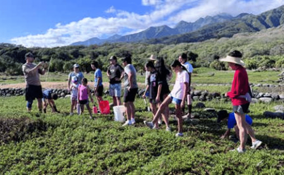 February Activities from 4-H