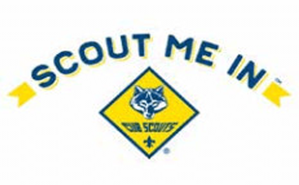 scout me in
