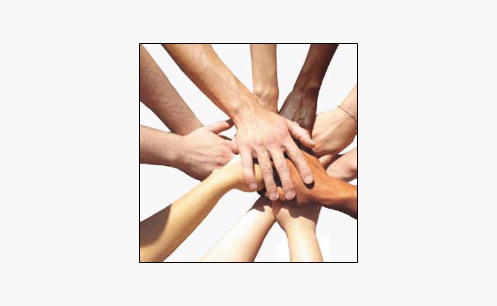 Sangha Survey Highlights