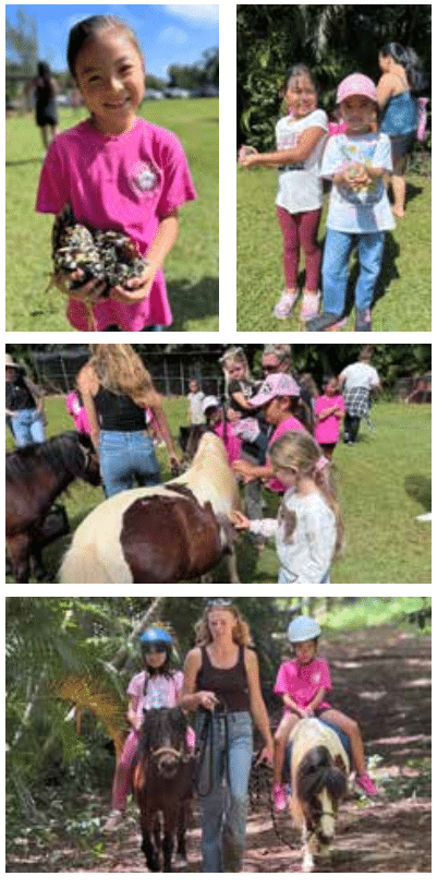 4-H Year-End Celebrations