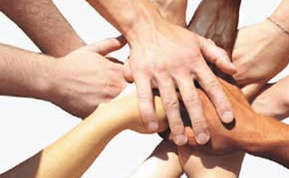 SANGHA STEWARDSHIP